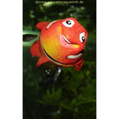 Nemo Dekomagnet