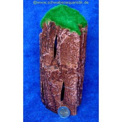 SF Fossil Wood L (20x9x8cm)