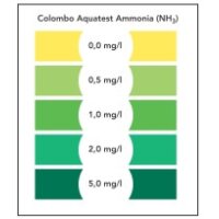 Colombo Ammoniak (NH3) Test