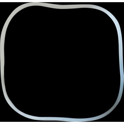 SF X-Pro Thermo 1000 Pumpenkopfdichtung