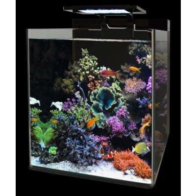 BM Reef 90 Aquarium (nur im Laden erhältlich/bitte Verfügbarkeit anfragen)