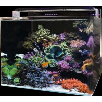 BM Reef 120 Aquarium (nur im Laden erhältlich/bitte...