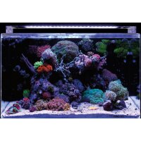 BM Reef 160 Aquarium (nur im Laden erhältlich/bitte...