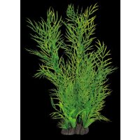 SF Art Plant 40cm Ceratopteris